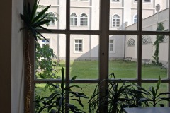 plants-piaristen