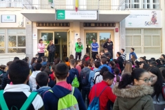 Pinares1