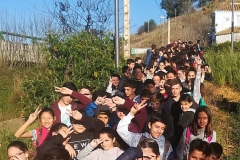 Pinares10