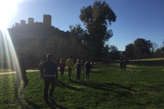 Pinares4