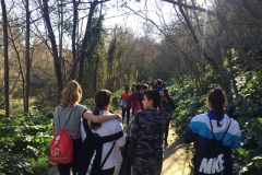 Pinares6