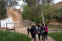 TallerPan9
